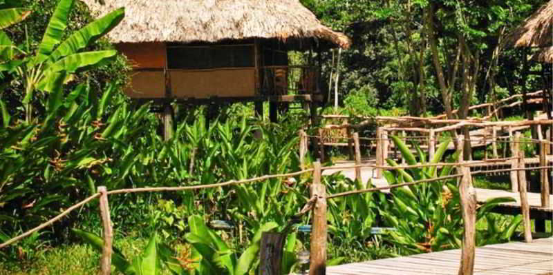 Cotton Tree Lodge San Felipe  Экстерьер фото