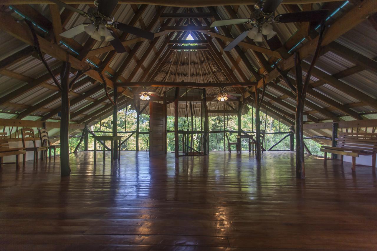 Cotton Tree Lodge San Felipe  Экстерьер фото