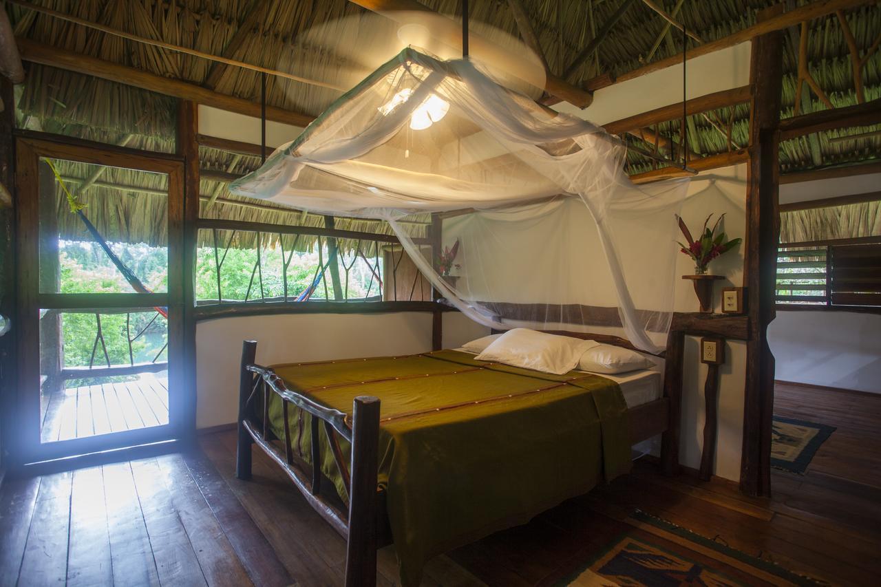 Cotton Tree Lodge San Felipe  Экстерьер фото