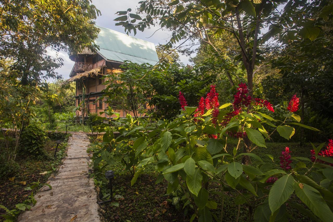 Cotton Tree Lodge San Felipe  Экстерьер фото