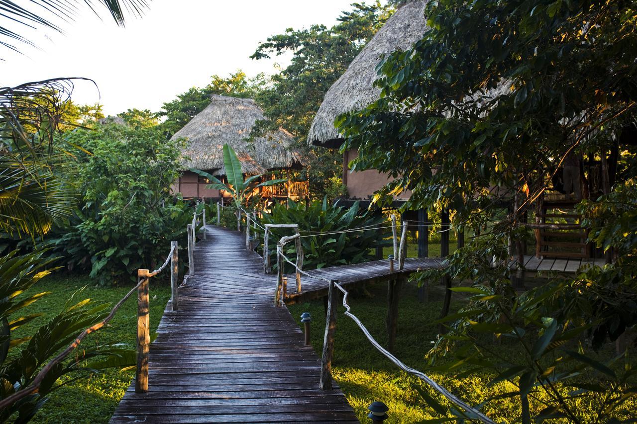 Cotton Tree Lodge San Felipe  Экстерьер фото