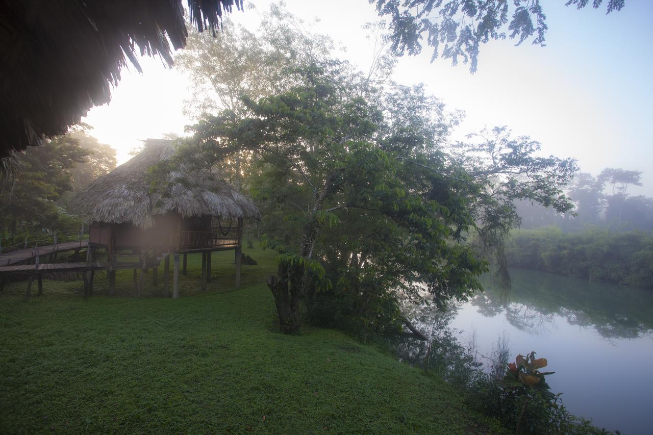 Cotton Tree Lodge San Felipe  Экстерьер фото