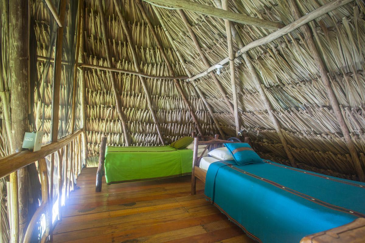 Cotton Tree Lodge San Felipe  Экстерьер фото