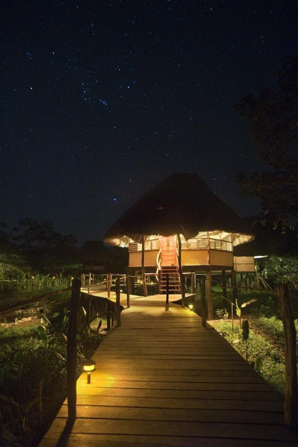 Cotton Tree Lodge San Felipe  Номер фото